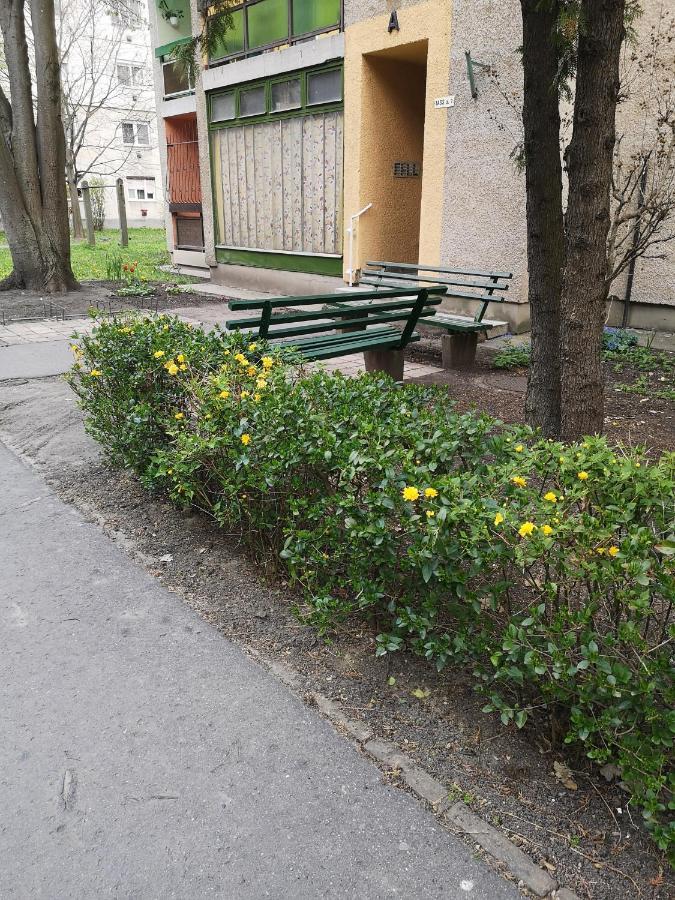 Natasa Apartman Orosháza Extérieur photo